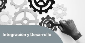 Integración y Desarrollo Bizagi